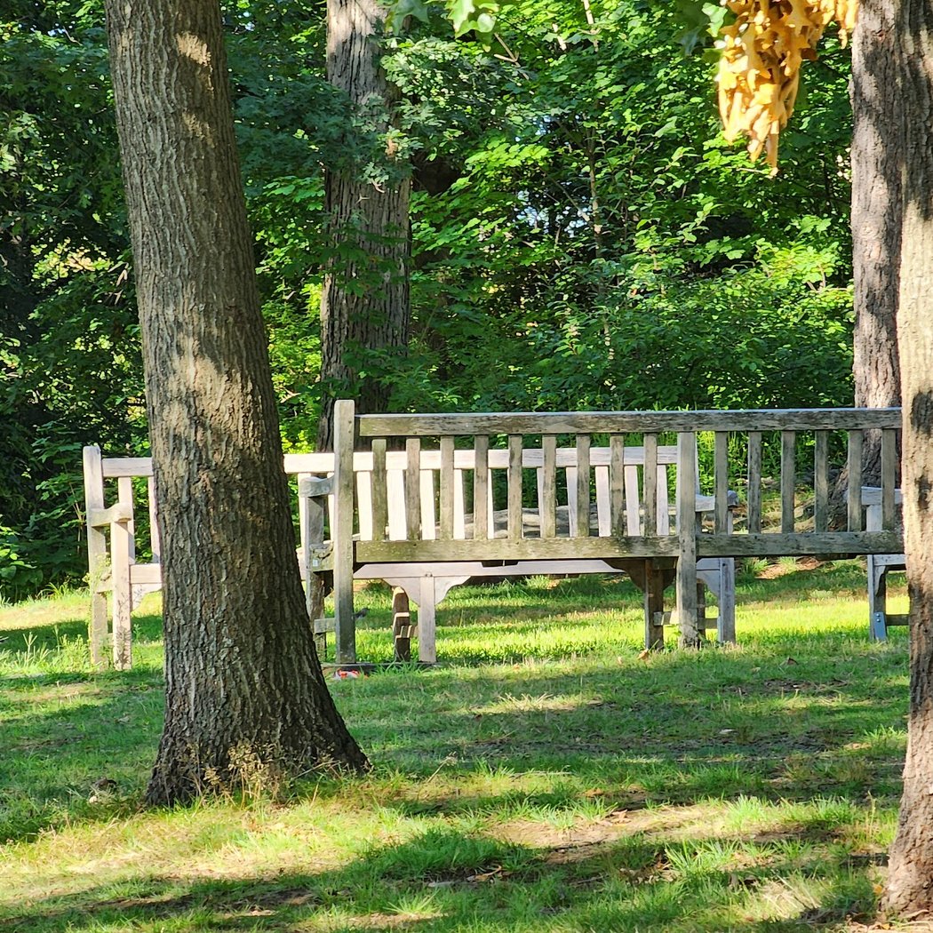 Wolfs Lane Park 4