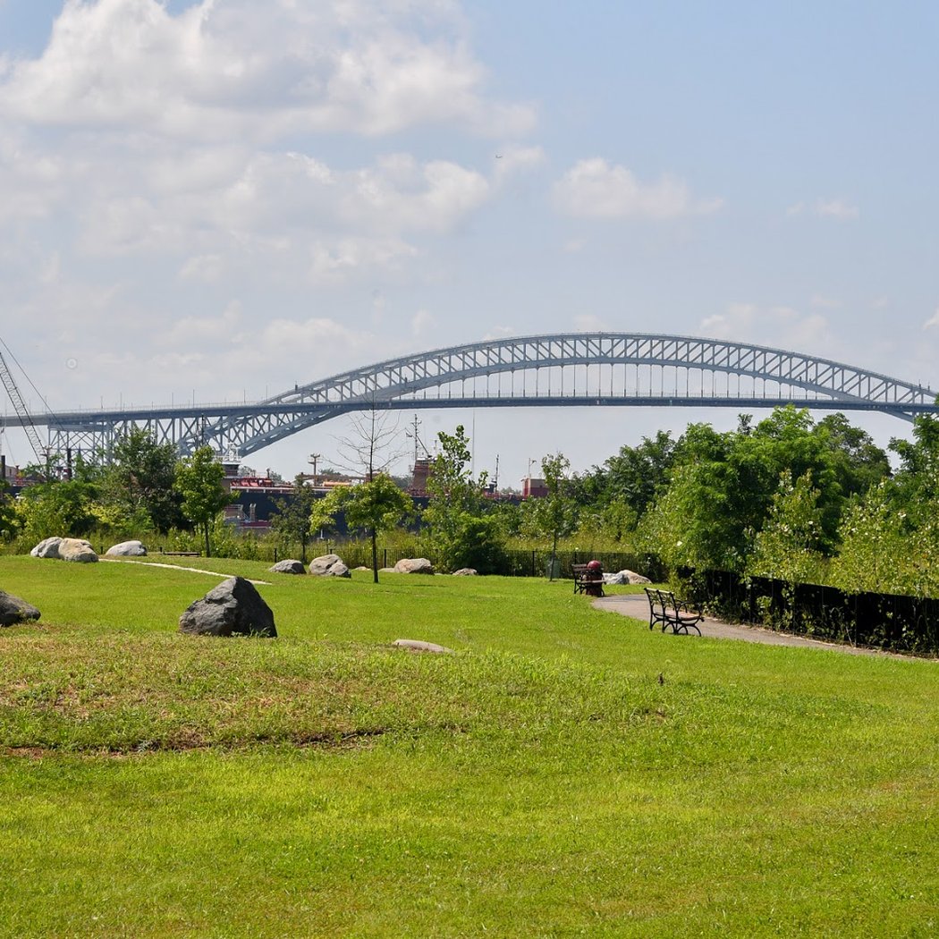 City Nature Challenge: Biodiversity Hike 1