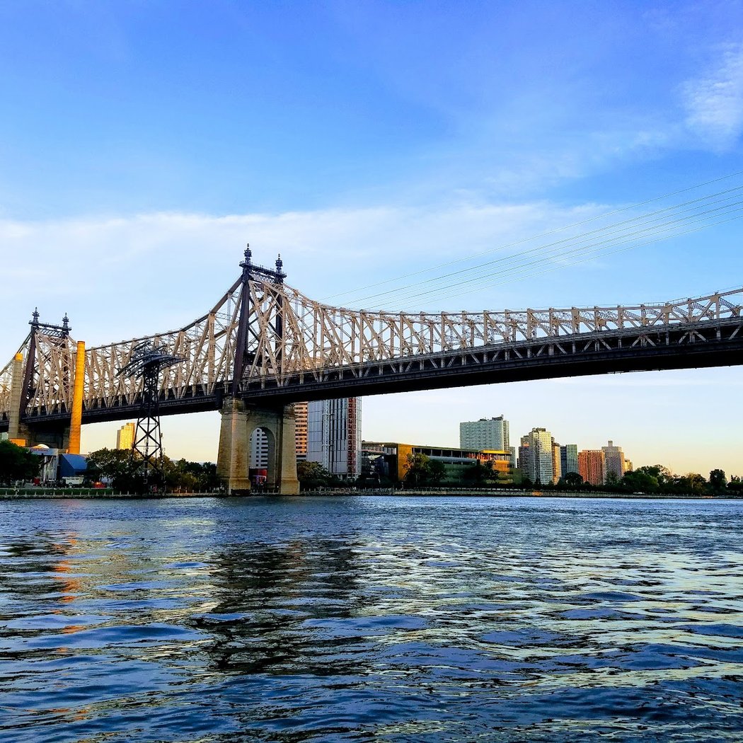 East River Esplanade Dog Run 1