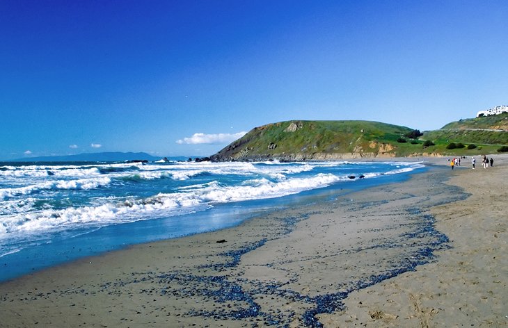 Pacifica State Beach 3