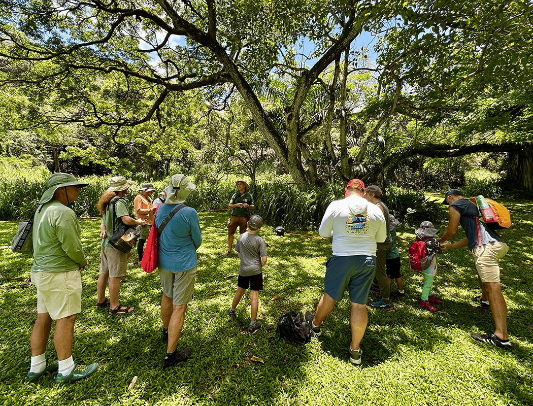 Summer Foraging Walk 1