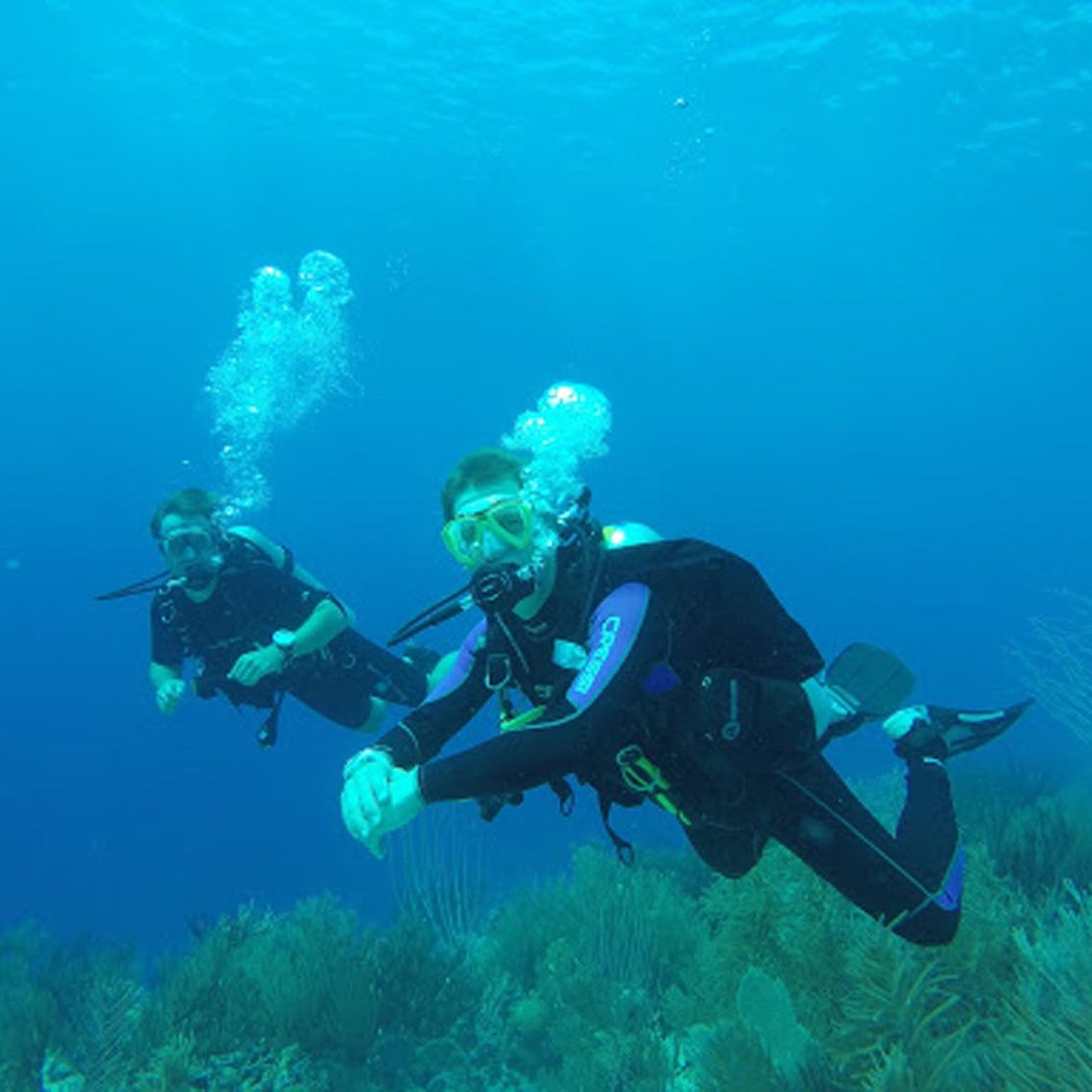 Dutch Dives Guided Excursion at Lake Grevelingen 1