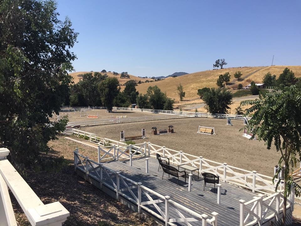 Five Star Equestrian 3