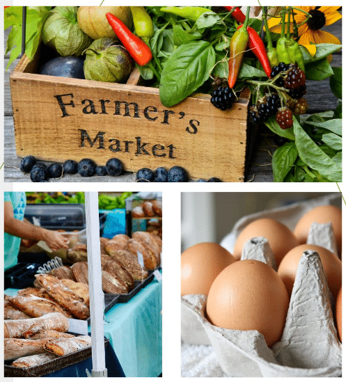 Colorado Farm & Art Market 4