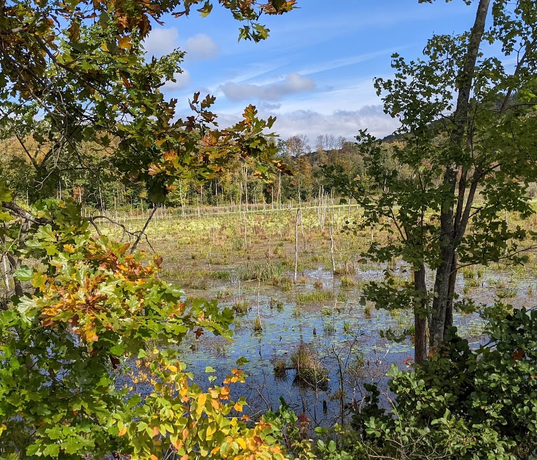 Maybrook Trailway 3