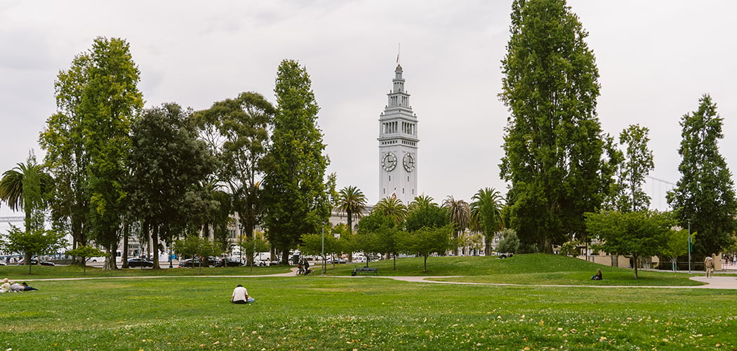 Sue Bierman Park 3