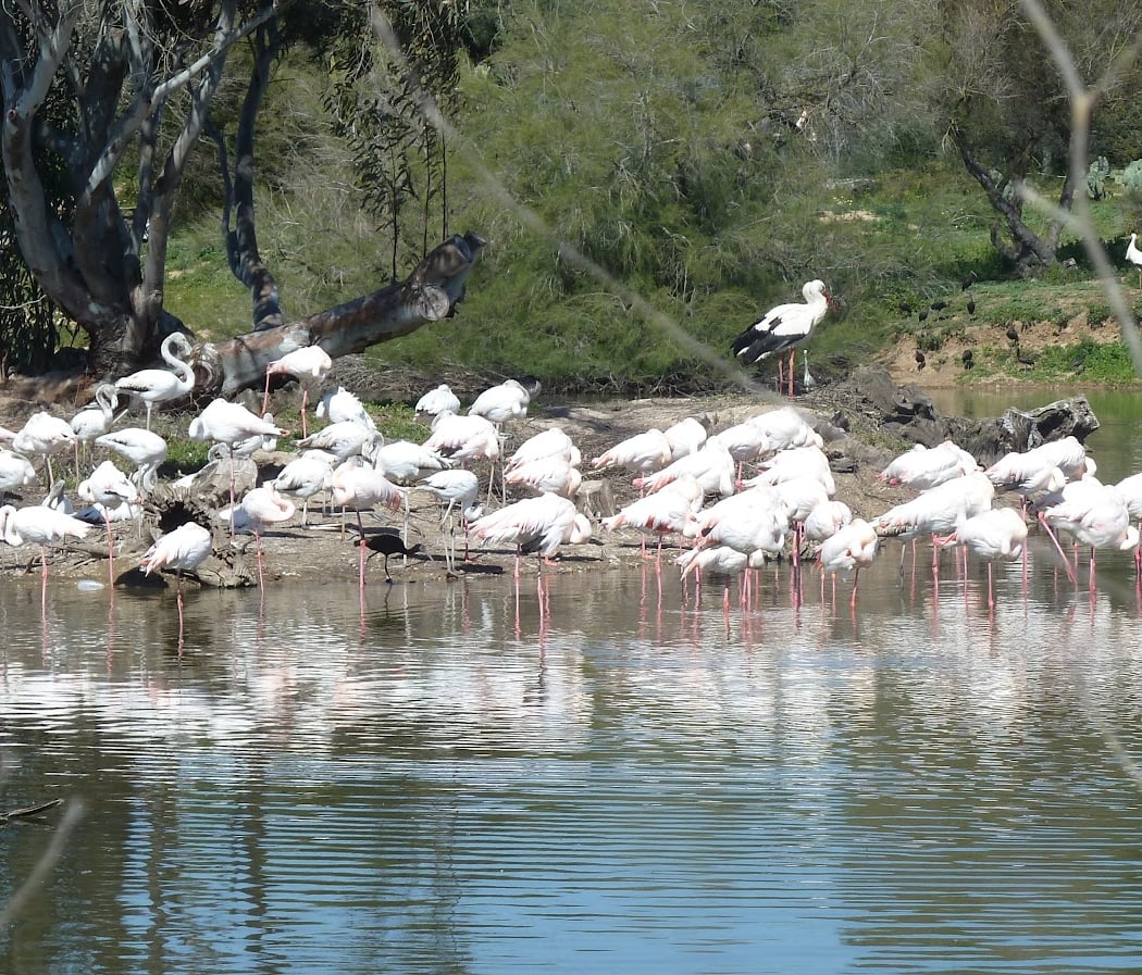 Cañada de los Pájaros 2