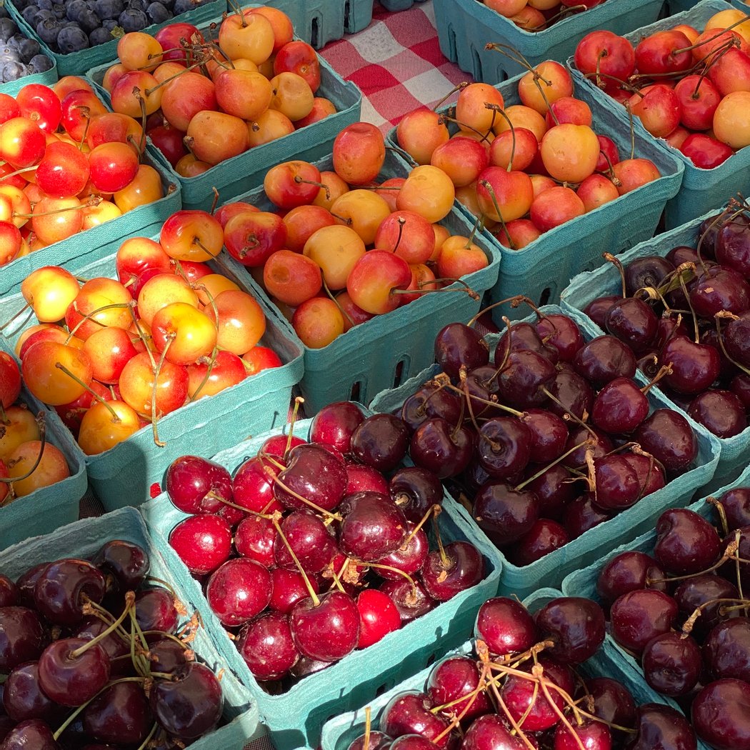 Mill Valley Farmers Market 1