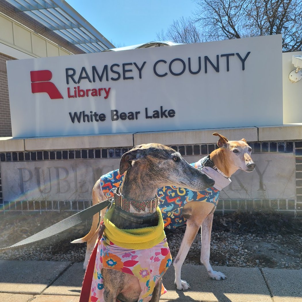Paws to Read with Baxter 2
