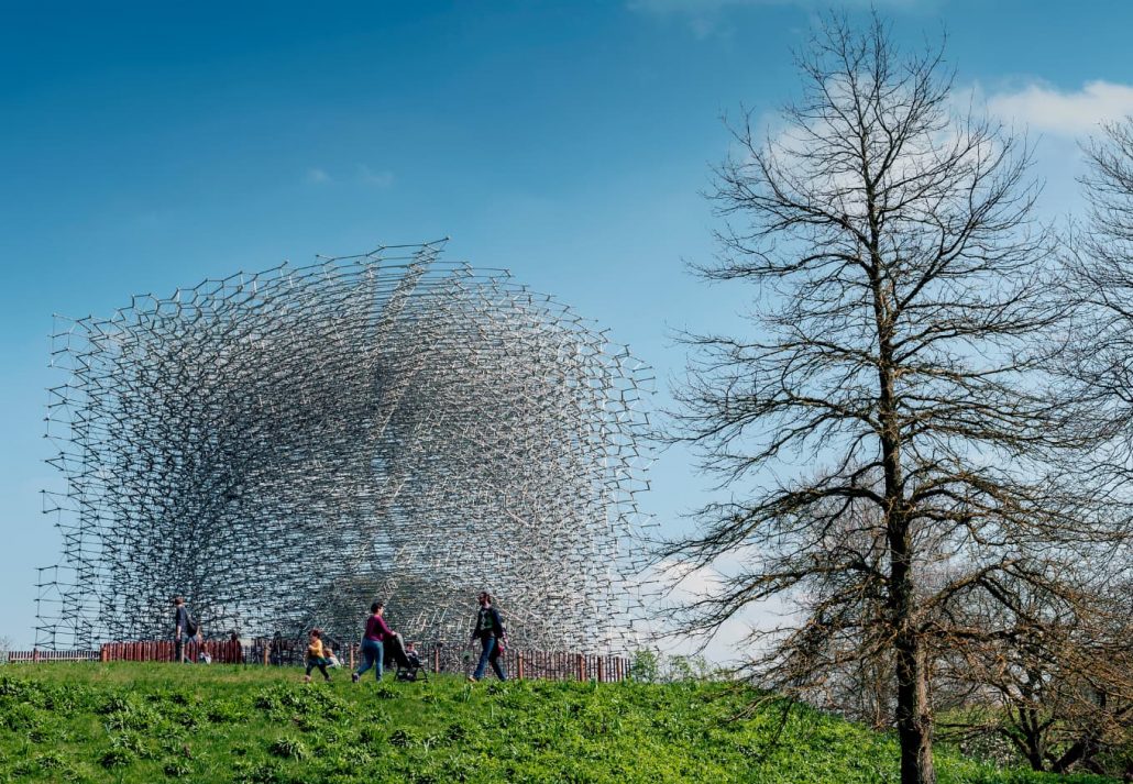 The Hive 5
