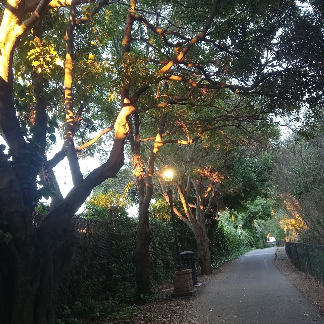 John Herbert Davis Park 1
