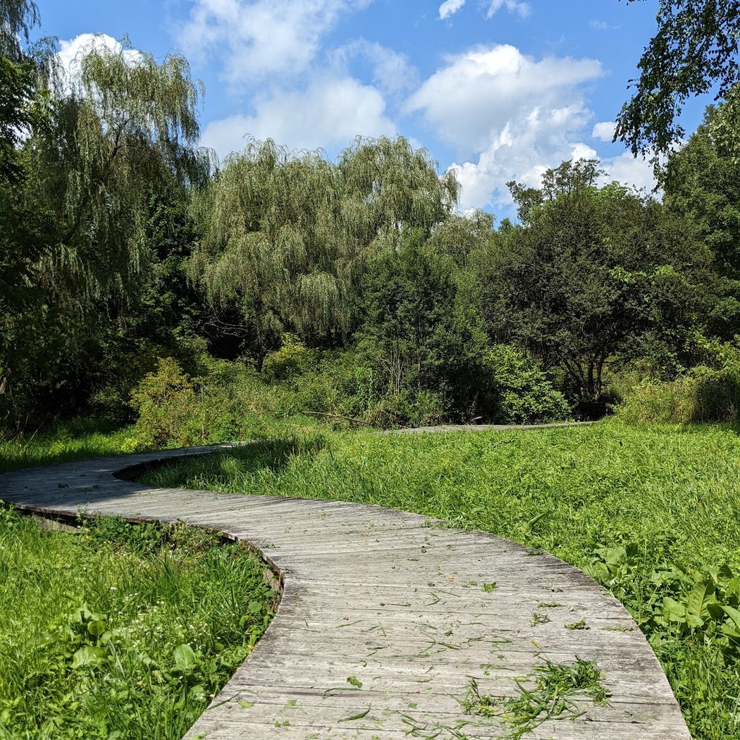 New Canaan Nature Center 1