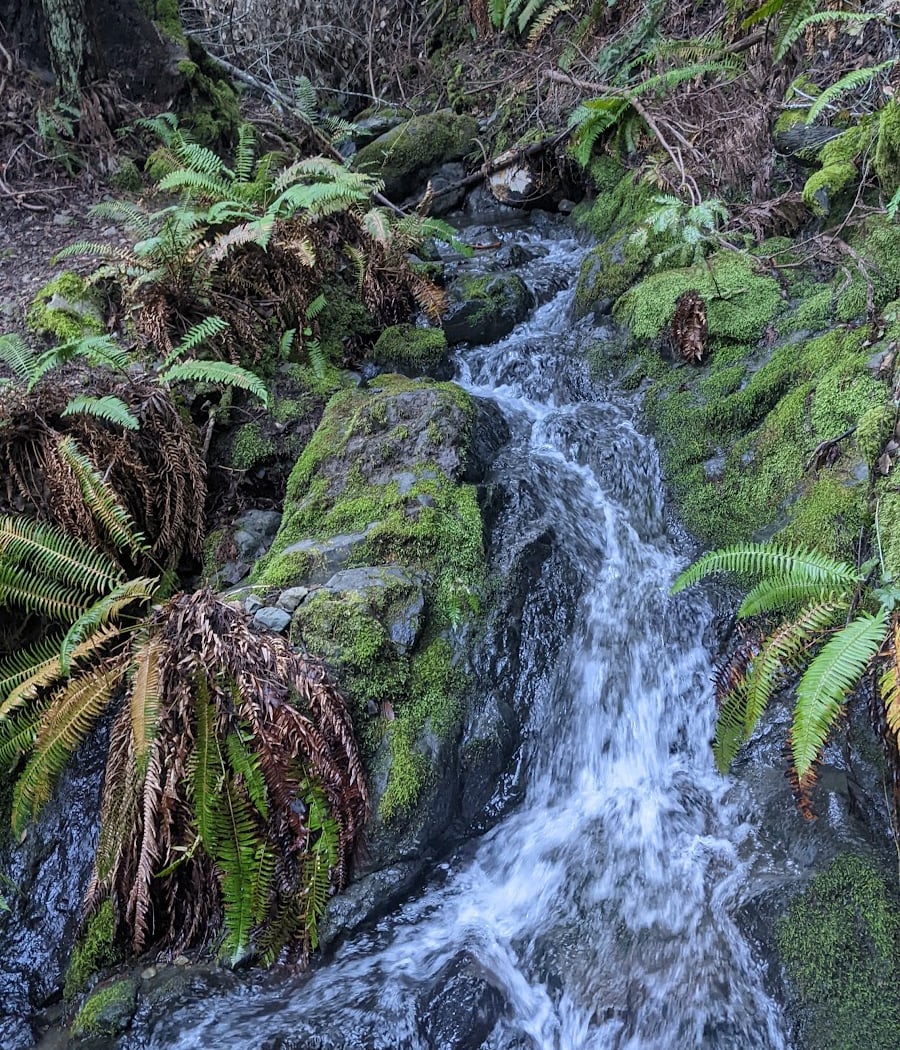 Tucker Cutoff Trail 3