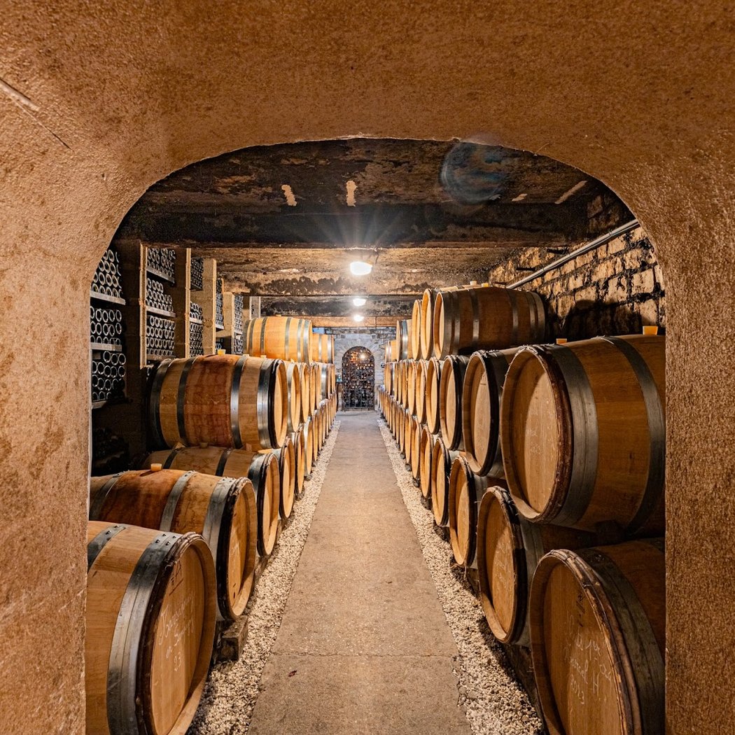 Domaine Armelle et Bernard RION 4