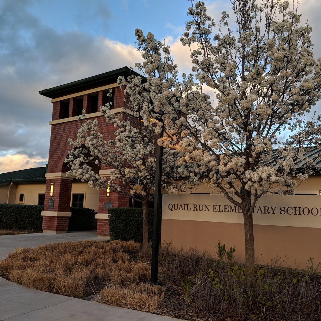 Annette Bay Pimentel School Visit 2