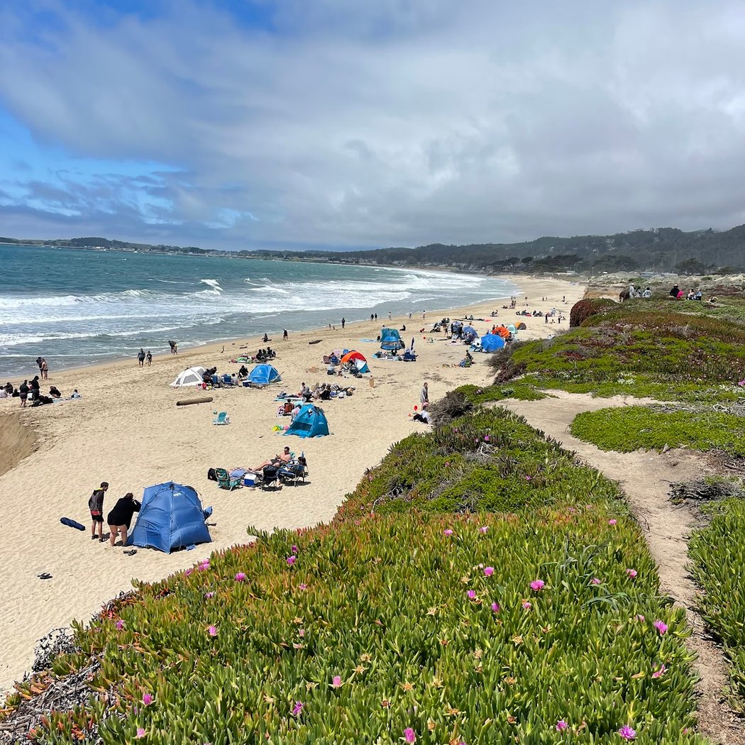 Monthly Beach Cleanups 2
