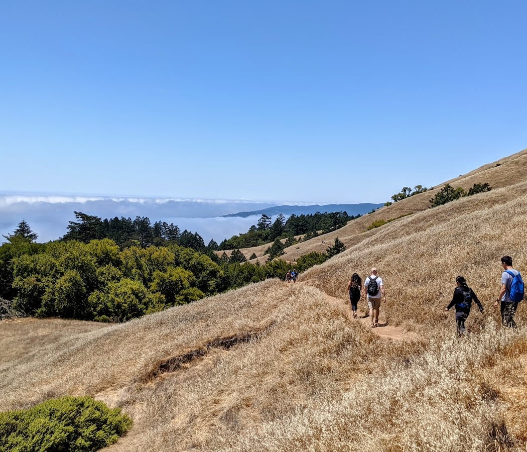 Dipsea Trail 1