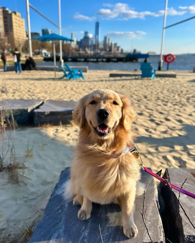 Gansevoort Beach 4