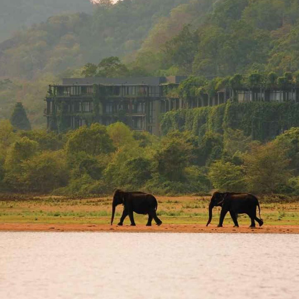 Heritance Kandalama 1