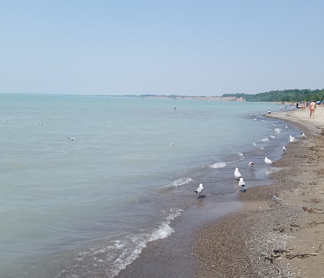 Main Beach, Port Stanley 2