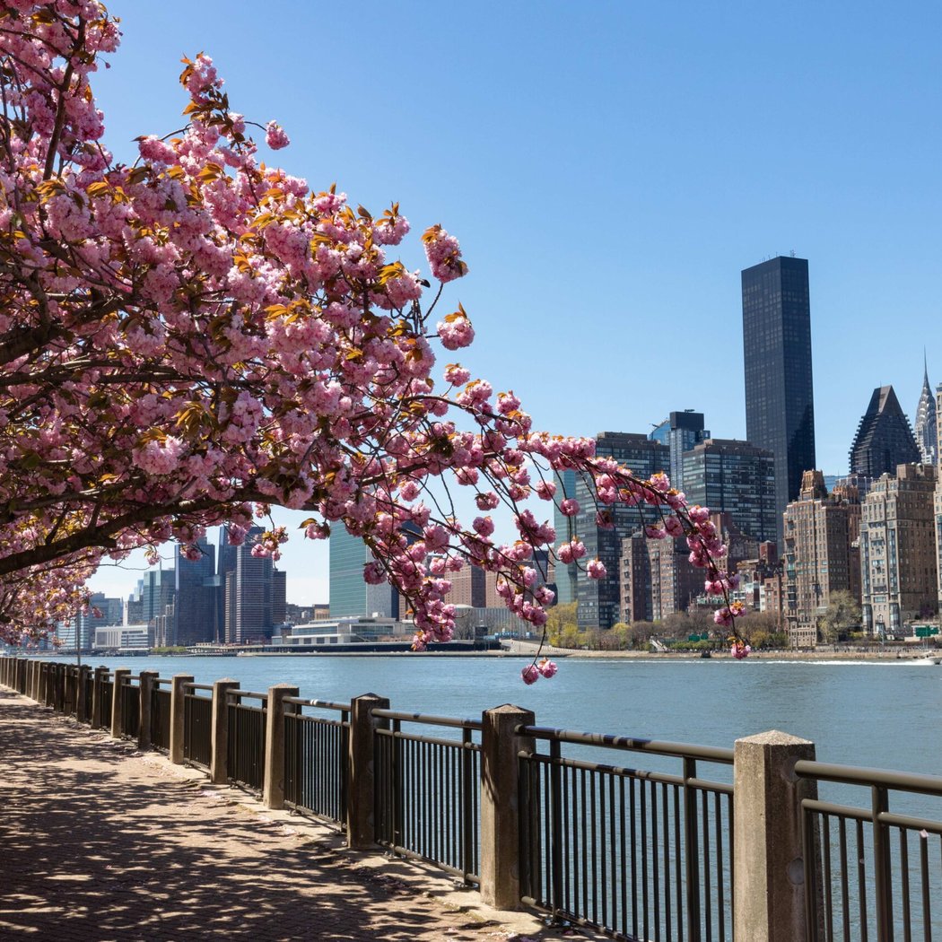 Carl Schurz Park 1