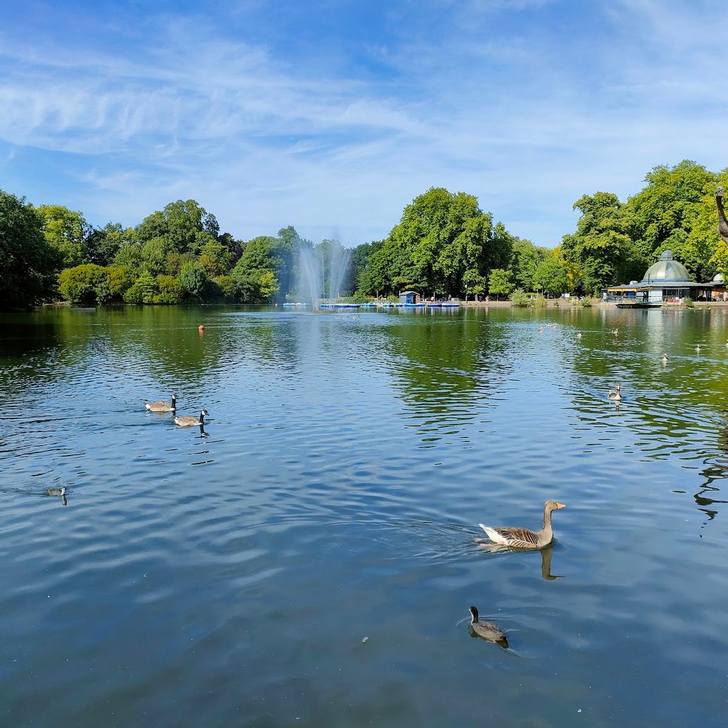 Victoria Park 1