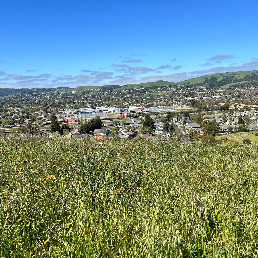 Hiking Trail 3