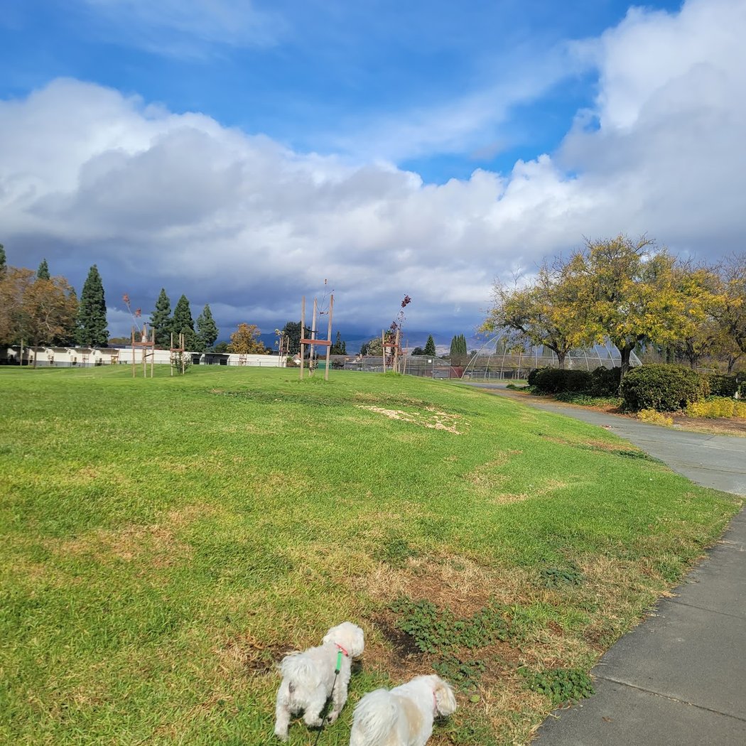 Dove Hill Park 2