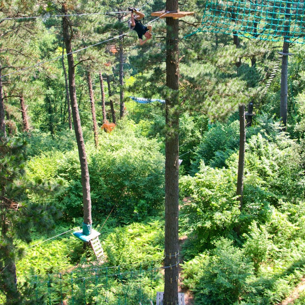 Parc d'aventure et paintball Oihana | Accrobranche Pays Basque 3