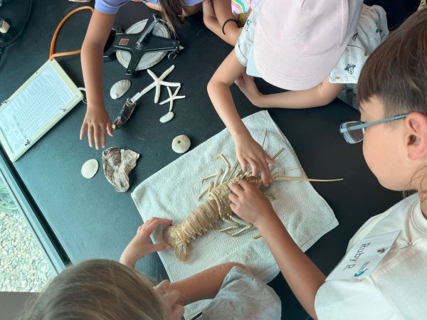 Summer Curiosity Club: Salty Scientists 1