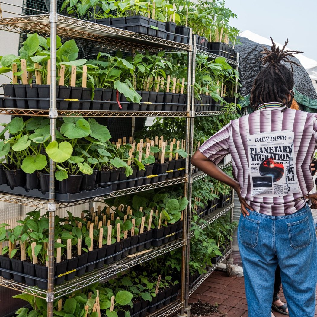 Brooklyn Grange Plant Sale 1