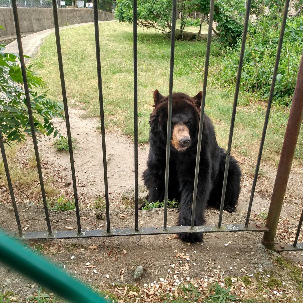 Popcorn Park Animal Refuge 2