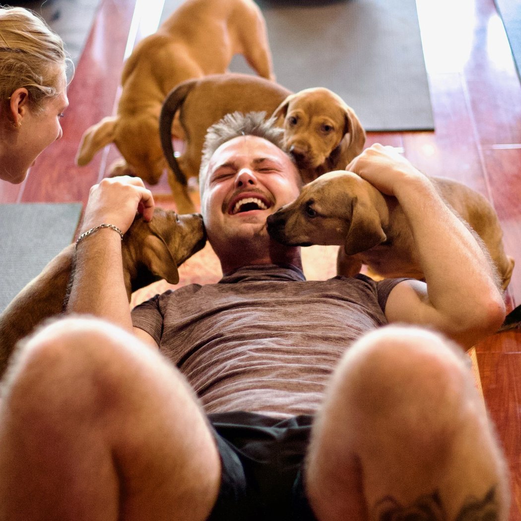 Paws + Reflect Puppy Yoga 1