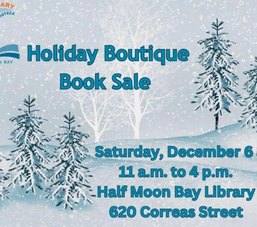 Special Holiday Boutique Book Sale 1