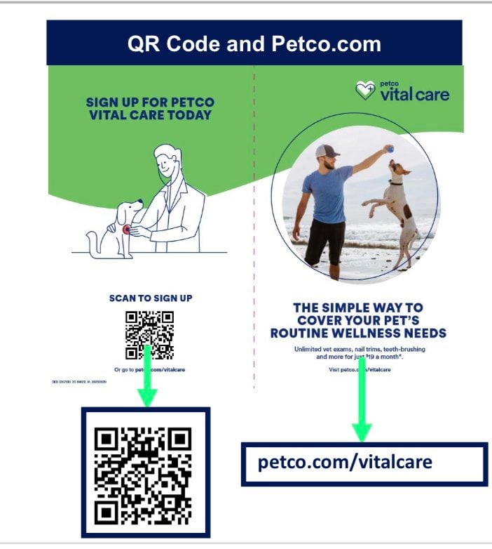 Vital Care Solutions 1