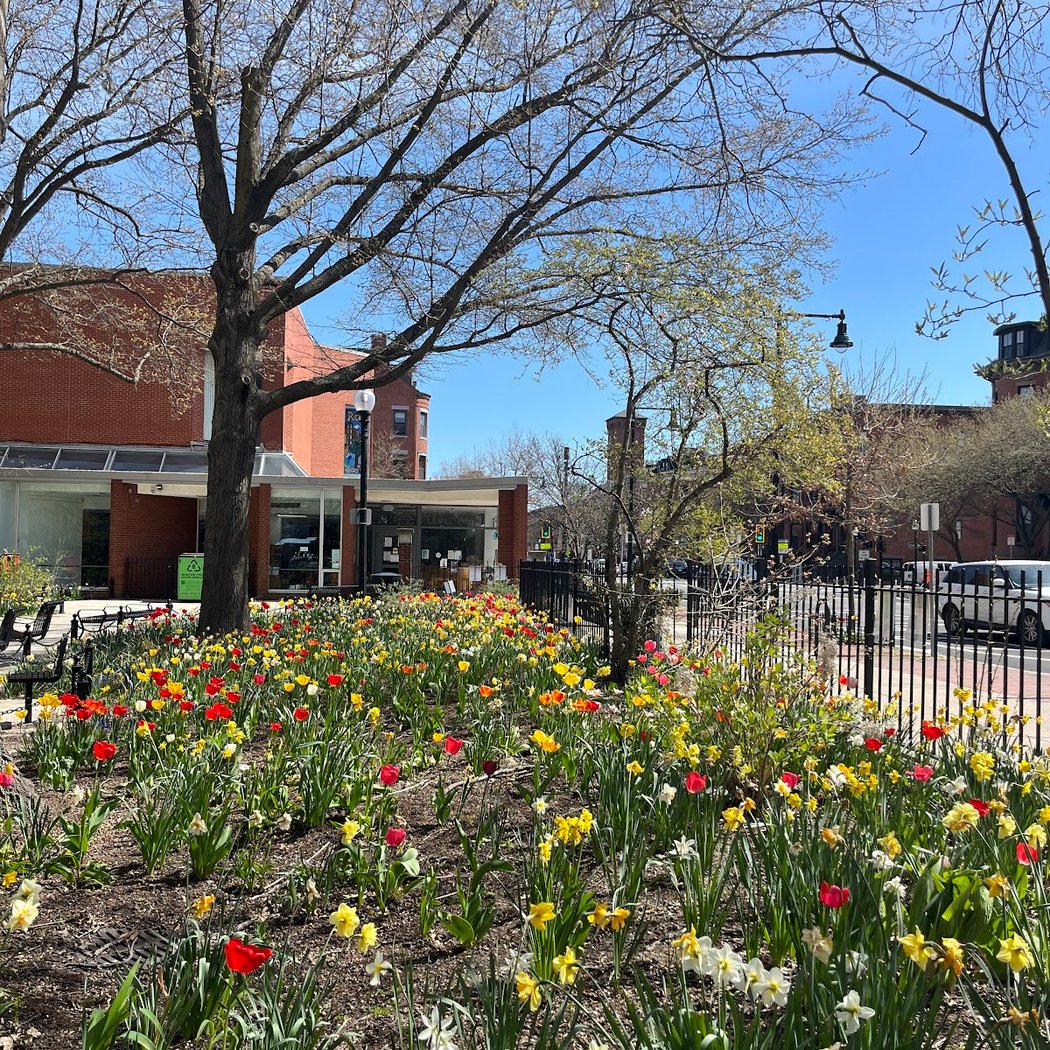 South End Library Park (BPL) 3