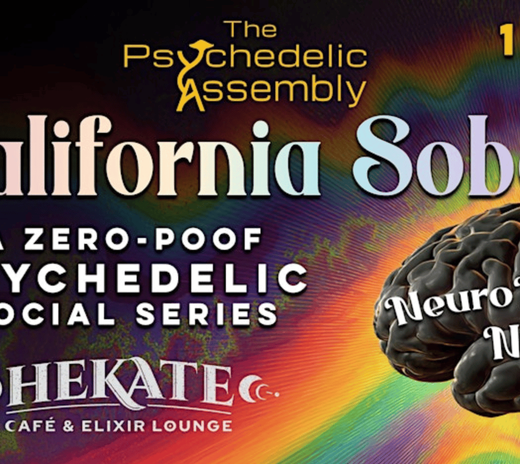 CaliSober with Psychedelic Assembly: Find the Others 1