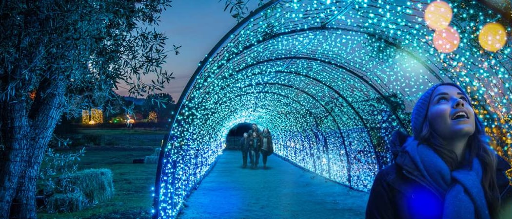 Holidays at Filoli 1