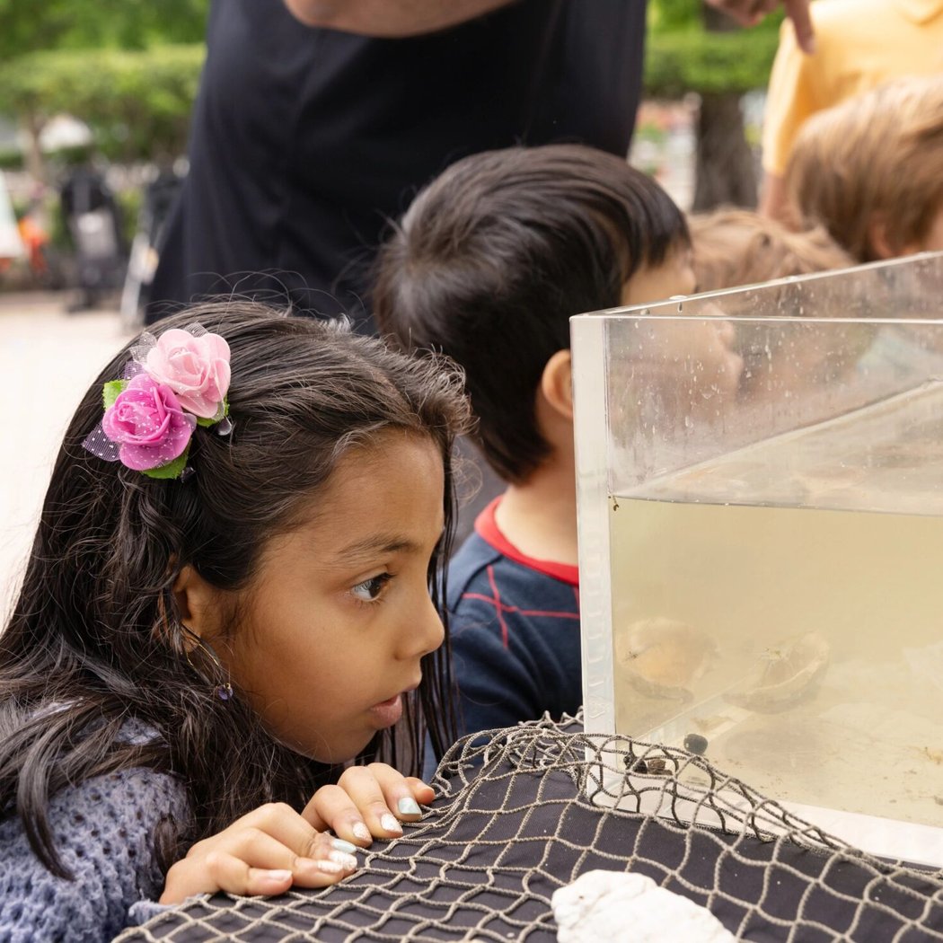 SUBMERGE Marine Science Festival 1