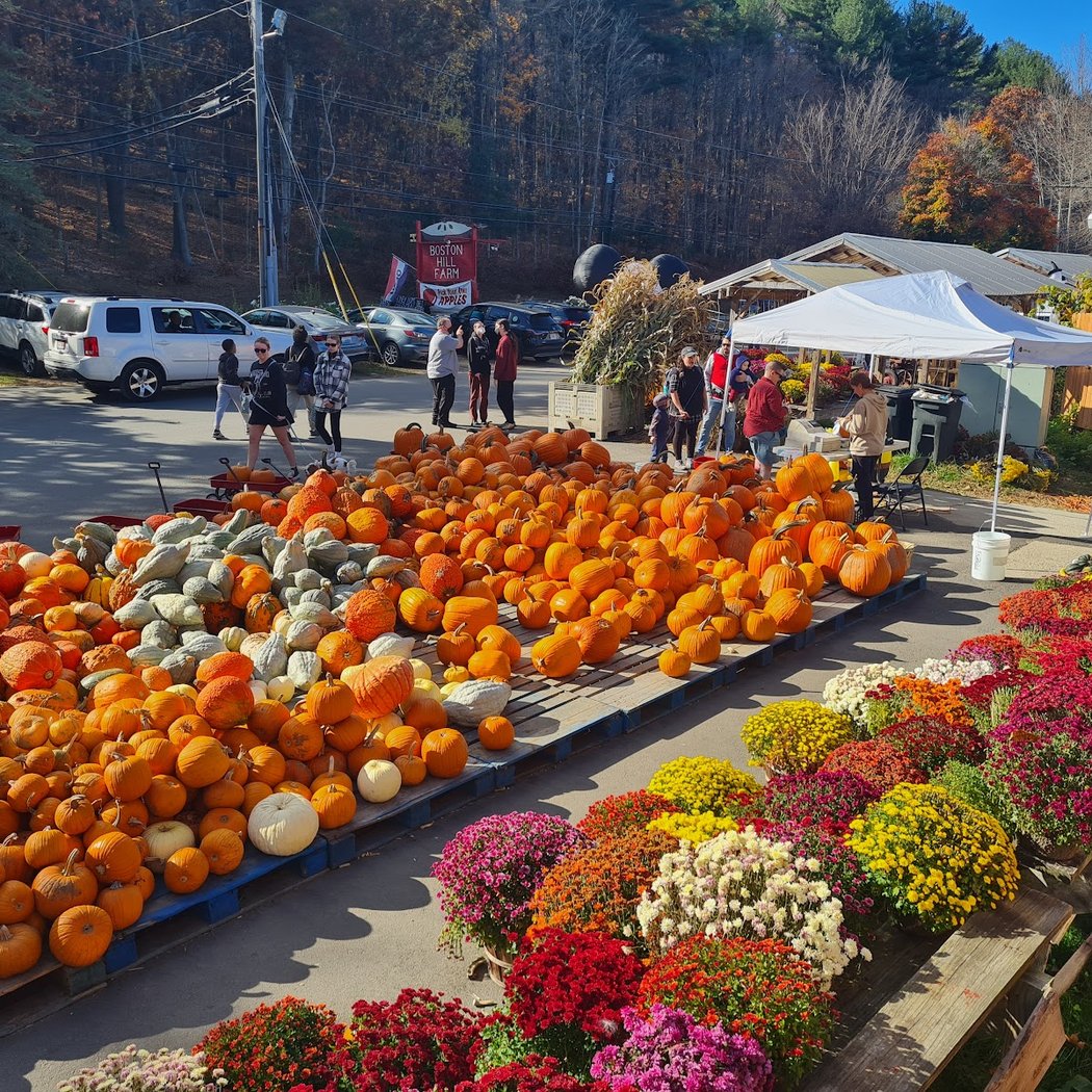 Apple & Pumpkin Picking 2
