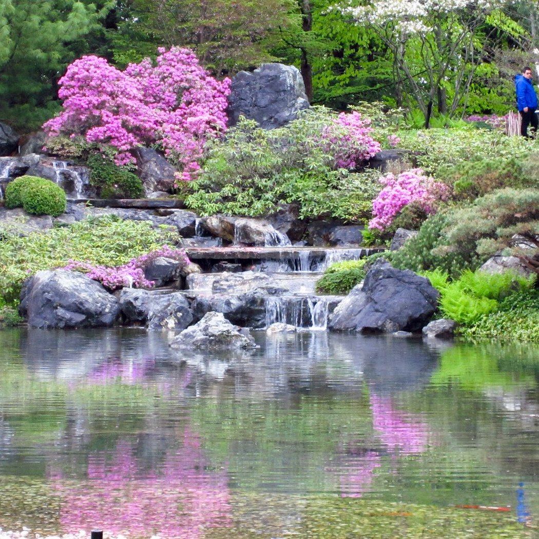 Japanese Garden 1