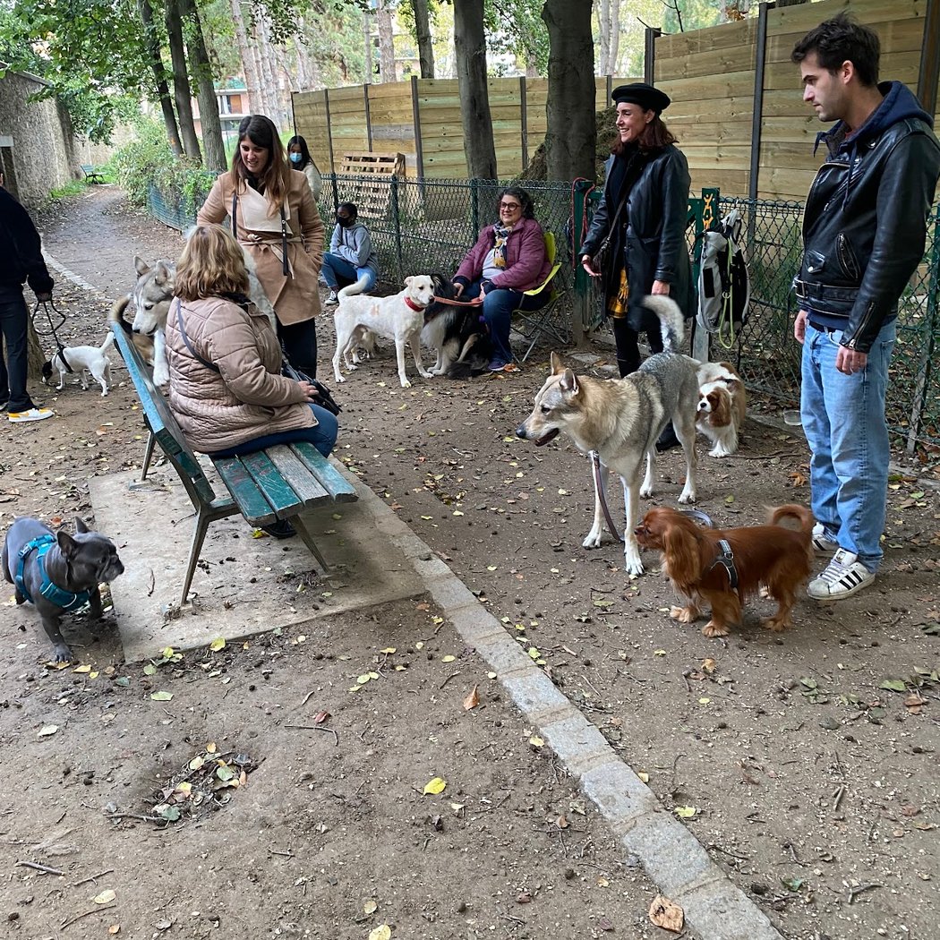 Allée des Chiens du Parc Georges Brassens 1