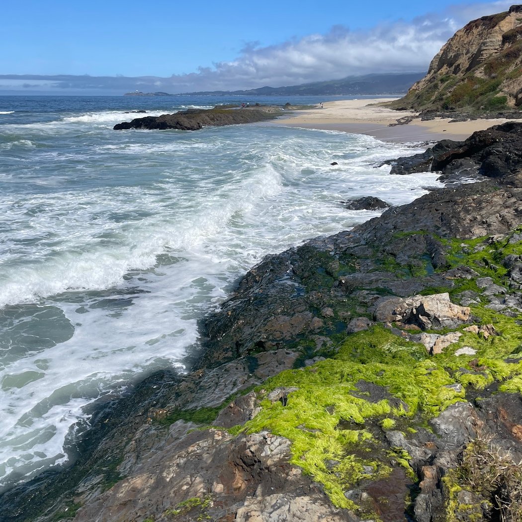 Tidepools 2