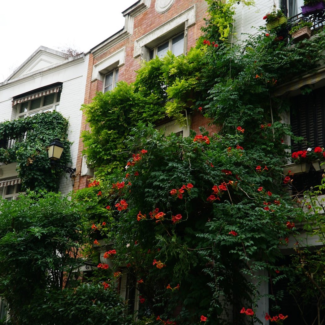 Villa Léandre 1