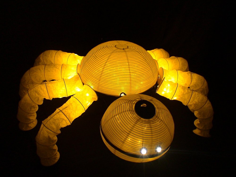 Giant Light Puppet Show 3