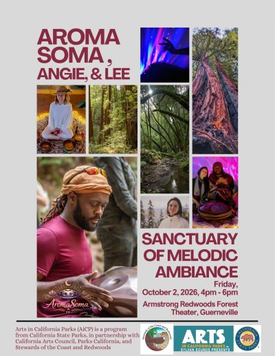 AromaSoma and Friends Handpan Concert 1
