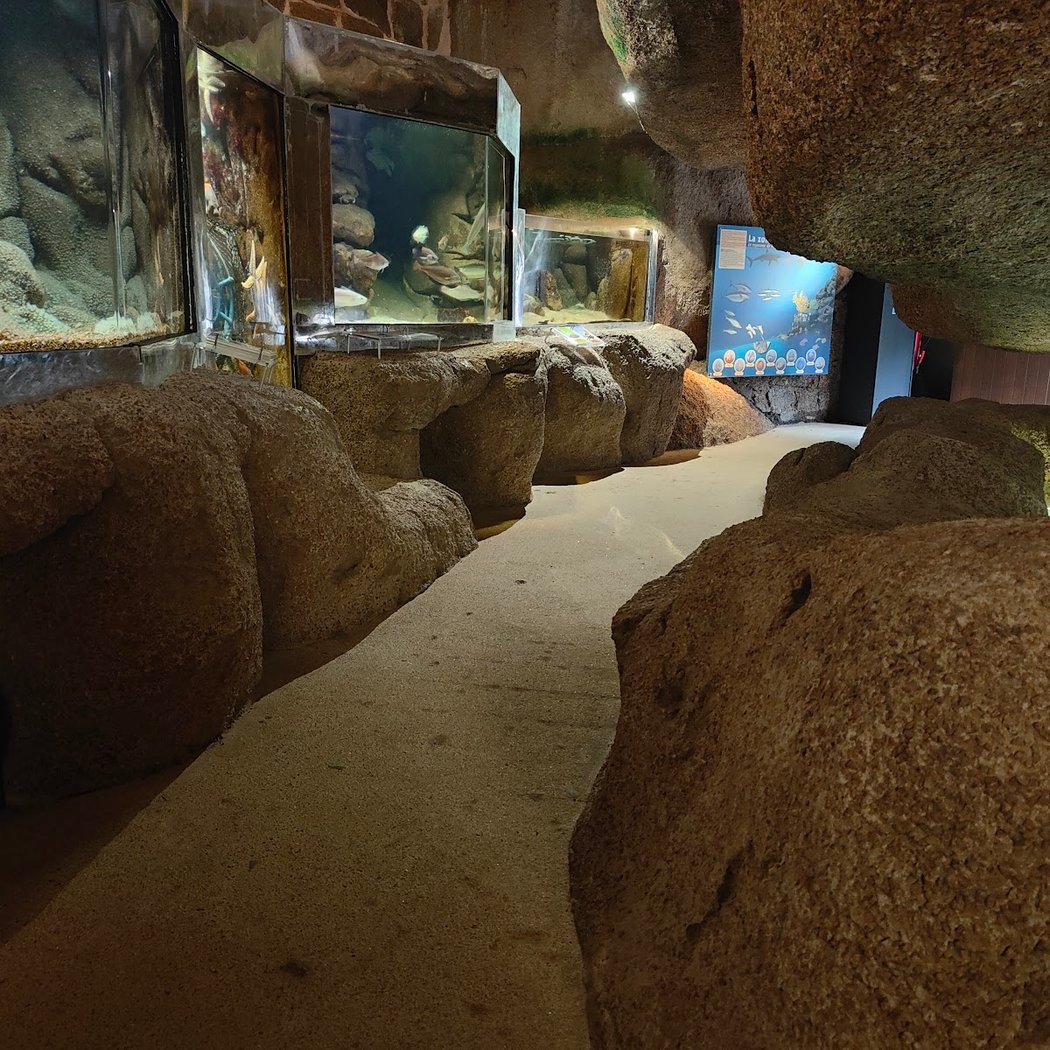 Aquarium Trégastel 2