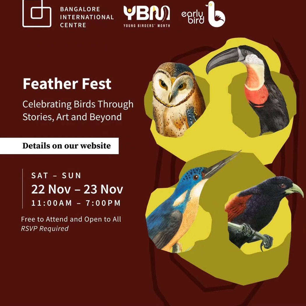 Feather Fest 1