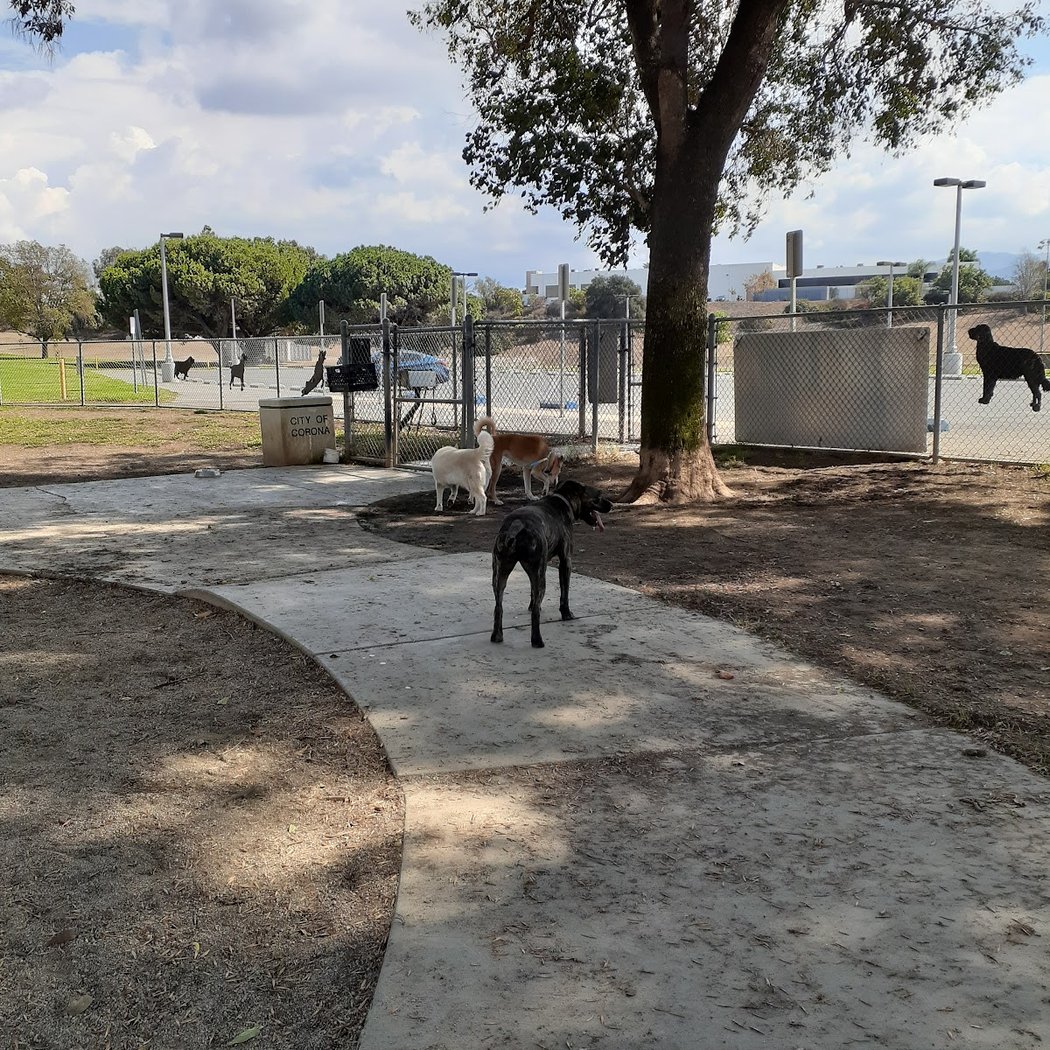 Corona Dog Park 3