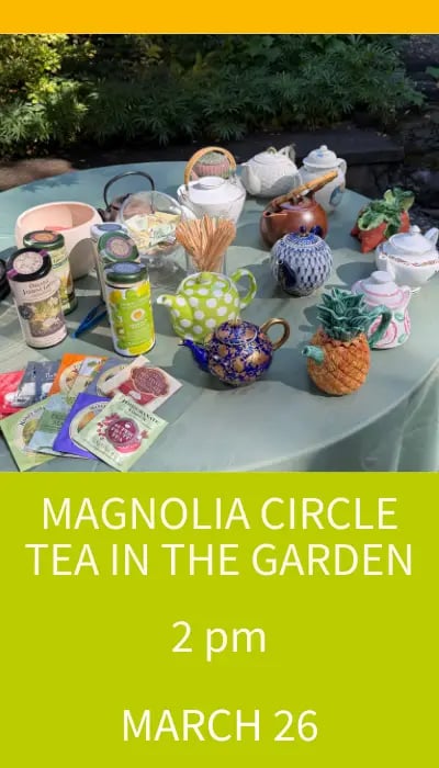 Magnolia Circle Tea in the Garden 1